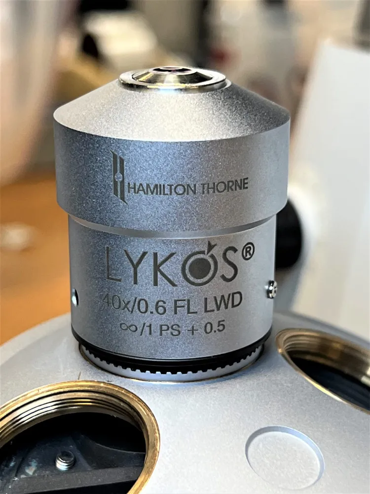 Hamilton Thorne Lykos DTS